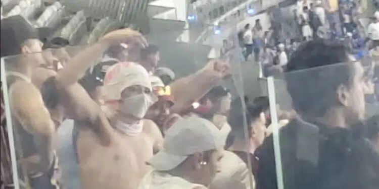 Foto de torcedor do Lanús imitando um macaco em direção à arquibancada cruzeirense