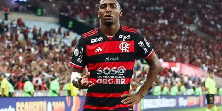 Fonte: Gilvan de Sousa / Flamengo