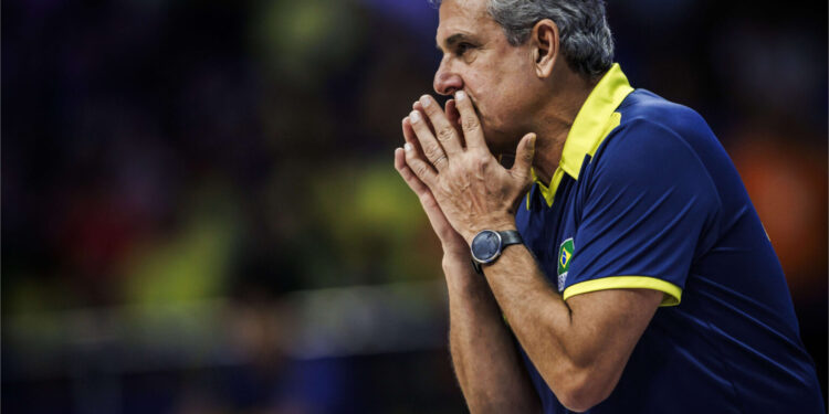 Fonte: divulgação / CBV