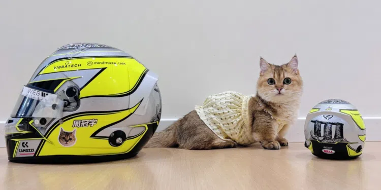 Pets dos pilotos da Fórmula 1; Venha ver os bichinhos velocistas