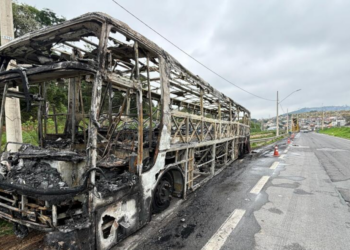 Palmeiras se posiciona sobre o ataque da Mancha Verde; Veja