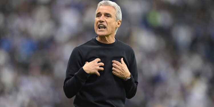 Luís Castro nega contato do Flamengo após saída de Tite