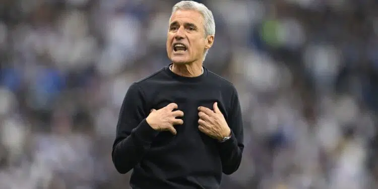 Luís Castro nega contato do Flamengo após saída de Tite