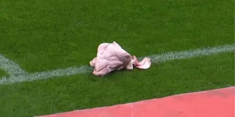 Torcedor do Corinthians joga cabeça de porco no gramado