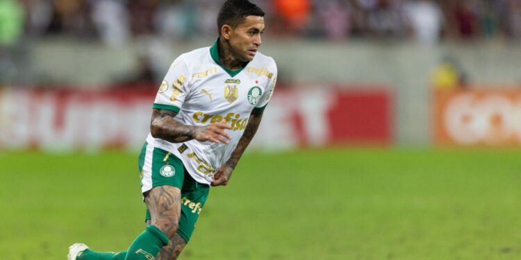 Dudu, do Palmeiras durante partida contra o Fluminense