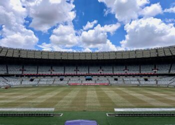 Conheça as etapas do processo anual de revitalização do gramado do Estádio Mineirão, em Belo Horizonte, que garante as melhores condições de jogo para a temporada seguinte