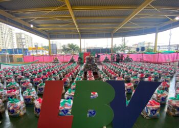 Cestas foram entregues a famílias em situação de vulnerabilidade - Foto: Divulgação