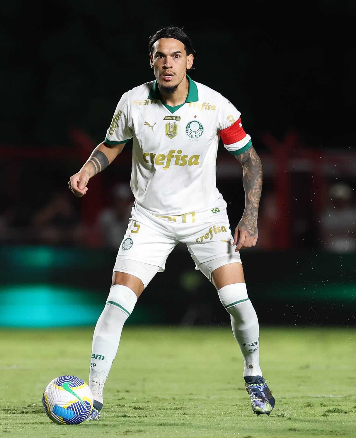 Gustavo Gómez atuando pelo Palmeiras - Fonte: @gustavogomez462