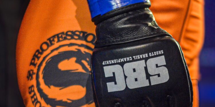 Luva de MMA no detalhe - Fonte: @joaopsicoticospormma