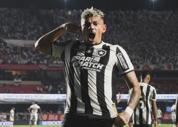 Jogador Tiquinho Soares comemorando gol pelo Botafogo - Fonte: @tiquinho_soares_29