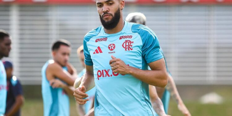 Créditos: @juninhovieira___21