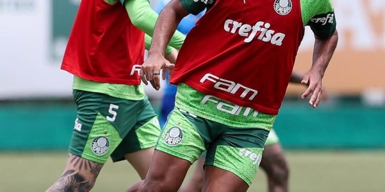 Créditos: @gabrielmenino00