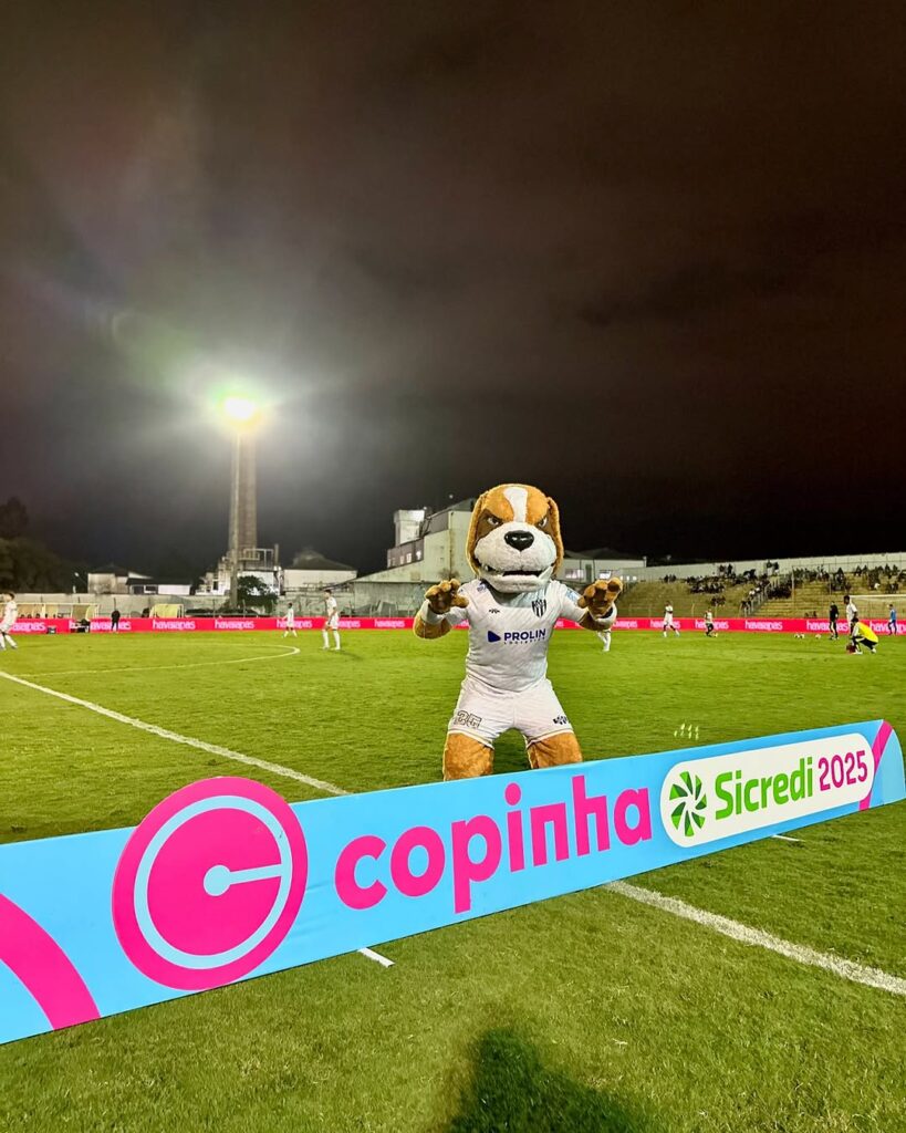 Créditos: @copinha
