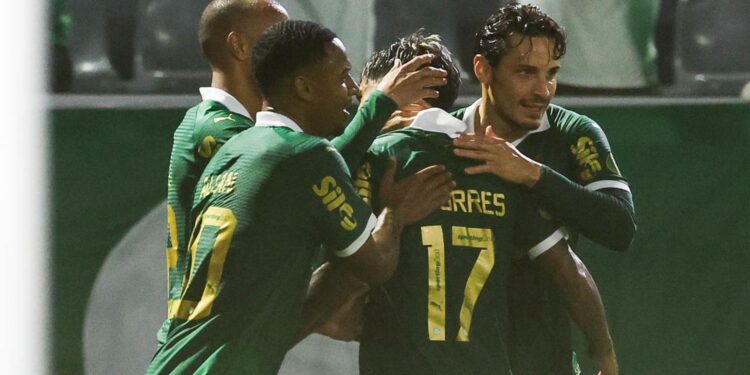 Jogos de hoje (28/01): saiba onde assistir e veja os horários