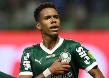 Estêvão, do Palmeiras, comemora gol marcado contra o Botafogo-SP
