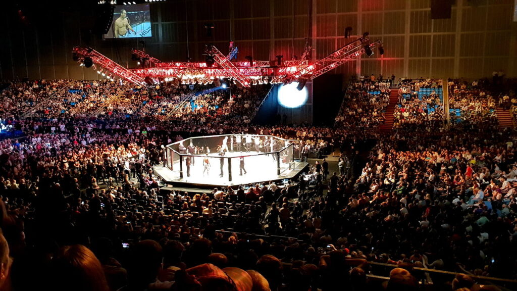 Saiba realmente quanto custa para ser lutador do UFC
