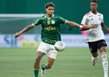 Como Flamengo e Palmeiras se tornaram um dos maiores rivais do Brasil