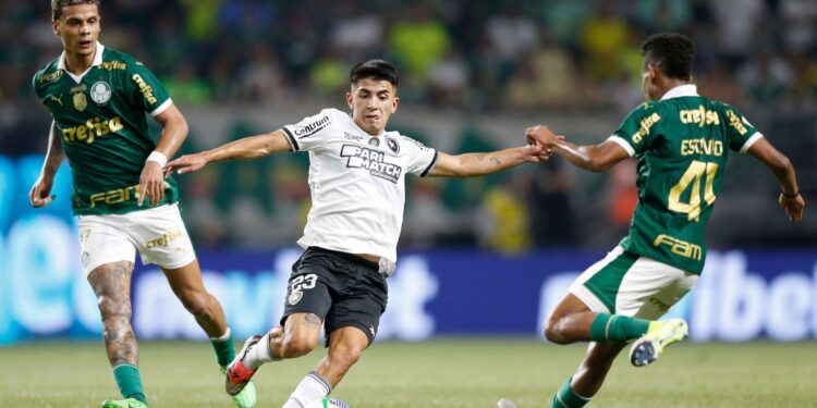 Palmeiras x Botafogo será definido neste final de semana.