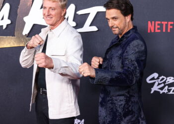 As melhores séries sobre artes marciais para maratonar!