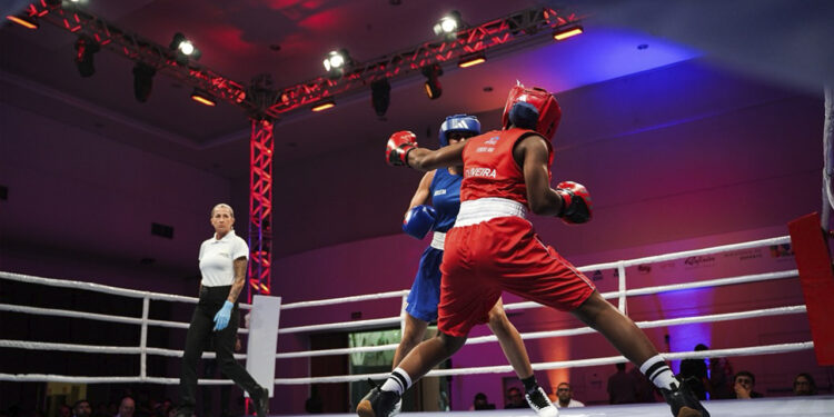 Campeonato Brasileiro consagrou os campeões de 2025 - Foto: Divulgação/CBBoxe