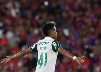 Estêvão comemora gol do Palmeiras