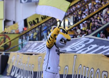 Tigre, mascote do Criciúma, no Estádio Heriberto Hülse