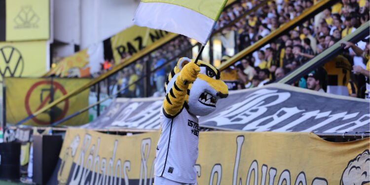 Tigre, mascote do Criciúma, no Estádio Heriberto Hülse