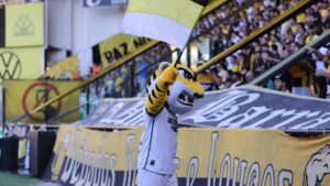 Criciúma x Botafogo-SP no Heriberto Hülse: onde comprar e quanto custa