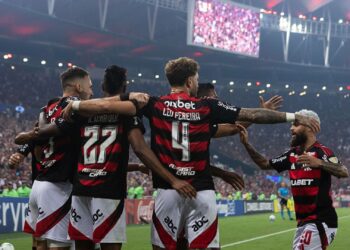 Jogadores do Flamengo comemoram gol marcado contra a LDU