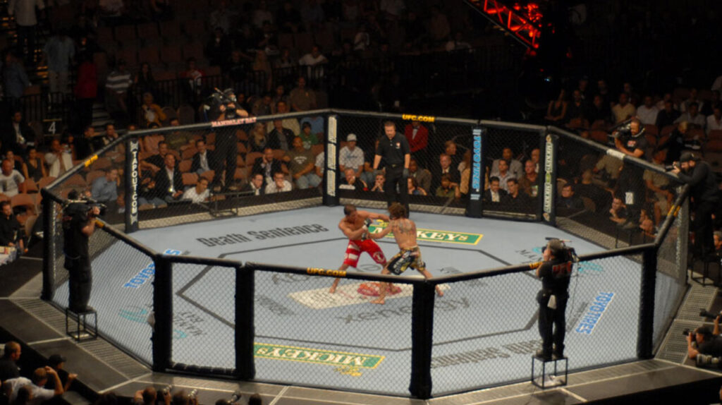 Quanto ganha um lutador do UFC em cada luta