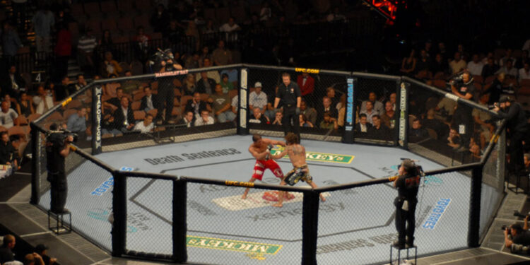 Quais são os maiores prêmios do UFC