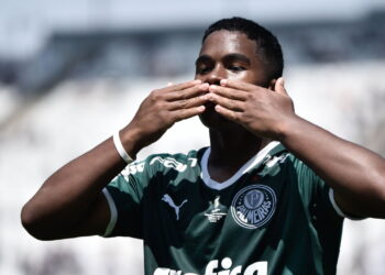 palmeiras - Créditos: depositphotos.com / thenews2.com