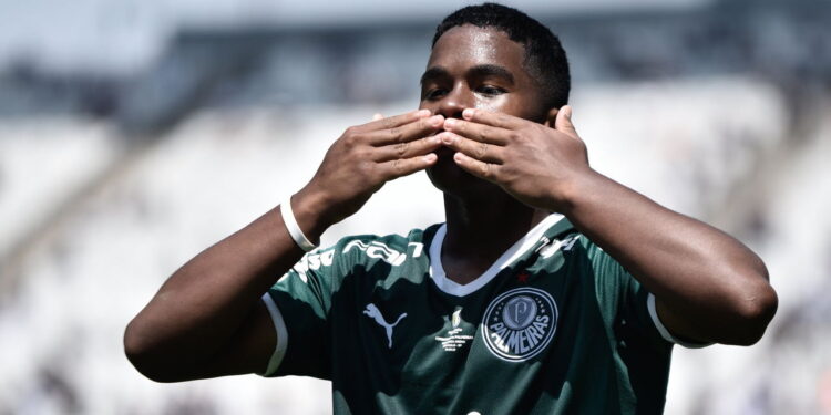 palmeiras - Créditos: depositphotos.com / thenews2.com