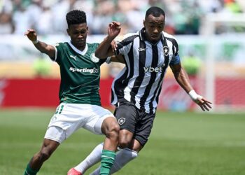 Lance de jogo entre Palmeiras e Botafogo