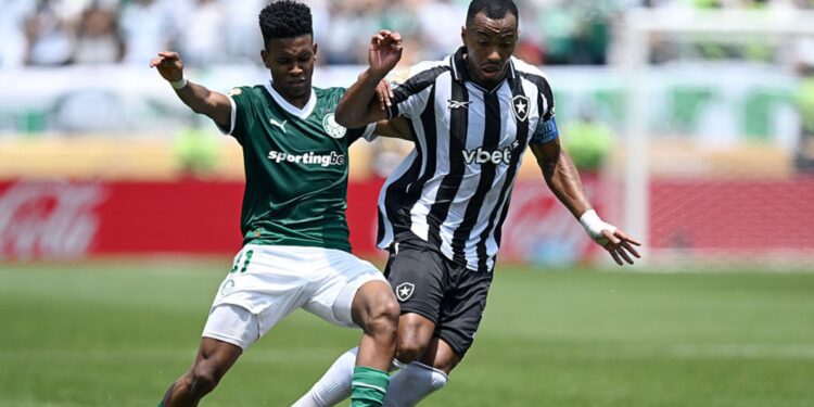 Lance de jogo entre Palmeiras e Botafogo