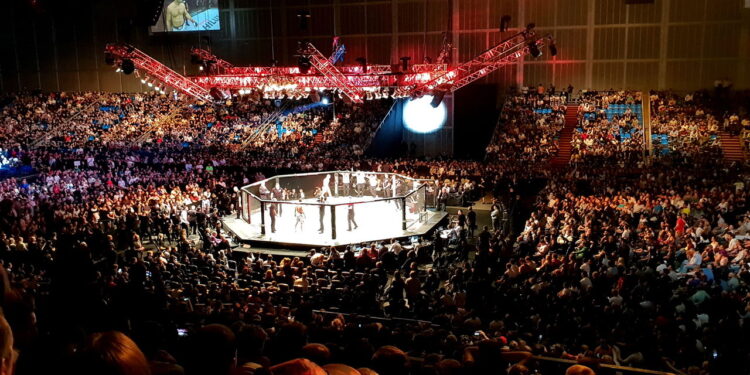 Ilustração de luta de UFC - Créditos: depositphotos.com / nikiteev