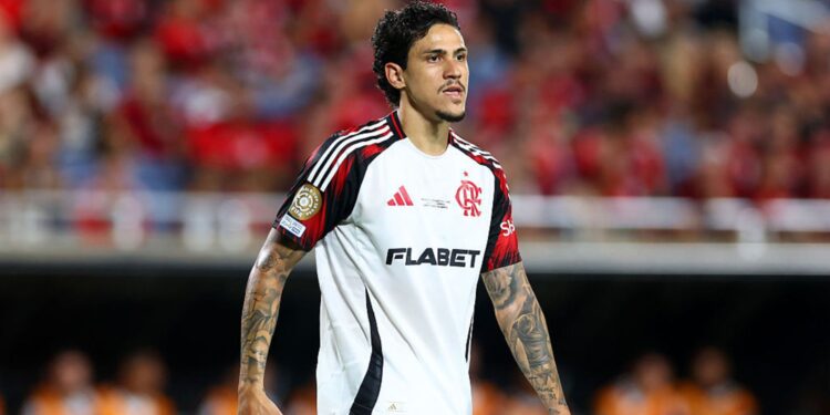 Pedro, do Flamengo