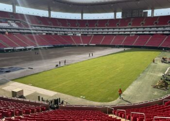 Brasil começa a cultivar grama da Copa do Mundo 2026.