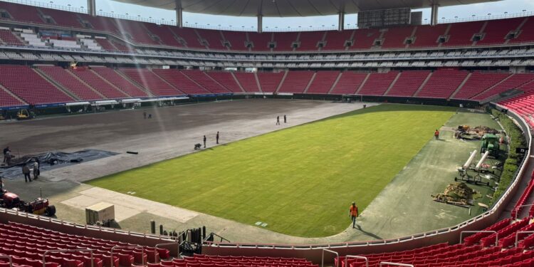 Brasil começa a cultivar grama da Copa do Mundo 2026.