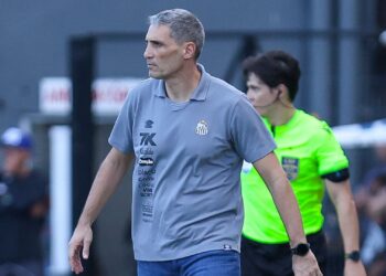 Vojvoda, técnico do Santos.