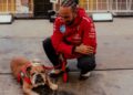 Hamilton e Roscoe na F1.