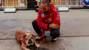 Hamilton e Roscoe na F1.