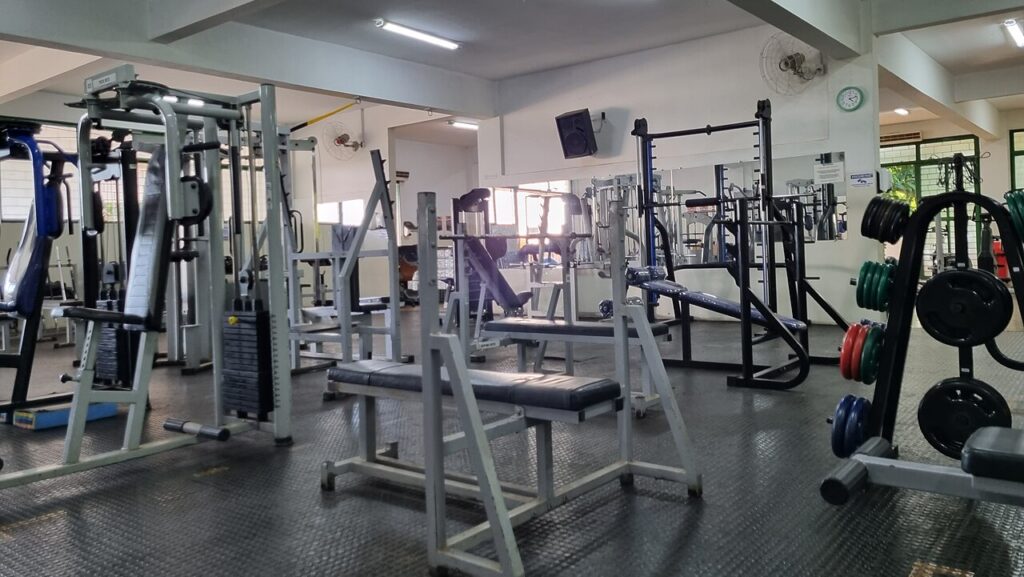 Equipamentos de treino que podem substituir a academia