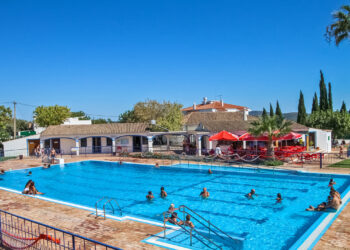 Como as piscinas ajudam na recuperação de atletas de alto nível