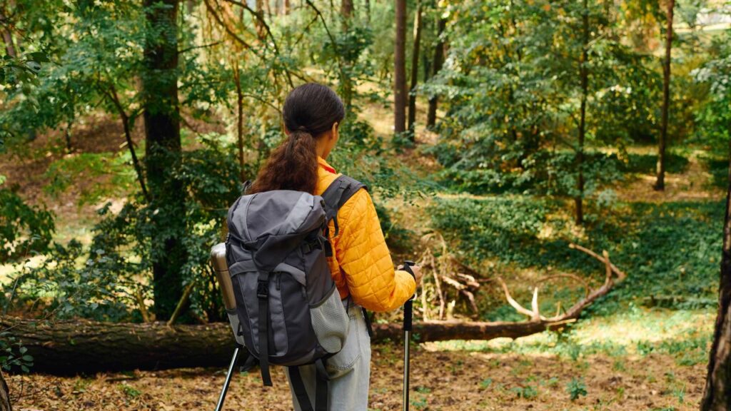 Trilhas para iniciantes: prepare-se fisicamente e mentalmente para aventuras