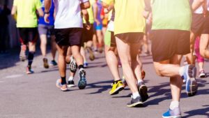 5 motivos para não perder o Circuito das Estações em novembro