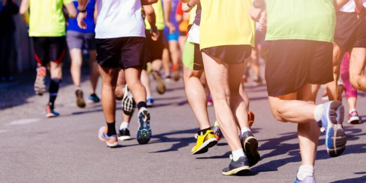 5 motivos para não perder o Circuito das Estações em novembro