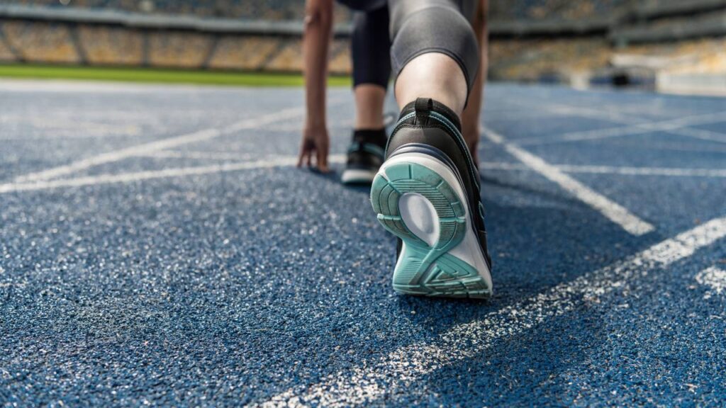 5 motivos para não perder o Circuito das Estações em novembro