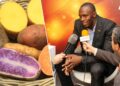 O que a alimentação de Usain Bolt ensina sobre equilíbrio e moderação