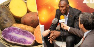 O que a alimentação de Usain Bolt ensina sobre equilíbrio e moderação